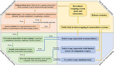 Plant Breeding for Intercropping in Temperate Field Crop Systems: A Review